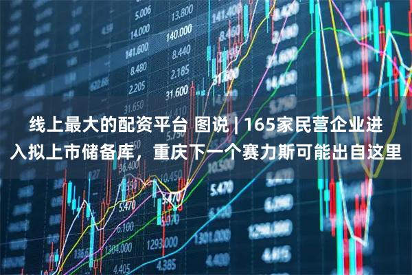 线上最大的配资平台 图说 | 165家民营企业进入拟上市储备库，重庆下一个赛力斯可能出自这里