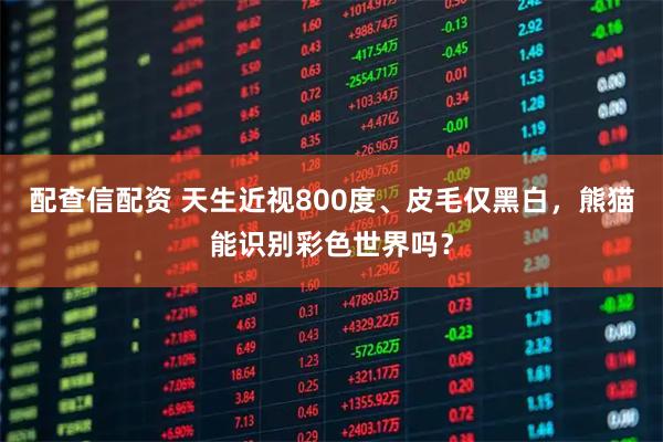 配查信配资 天生近视800度、皮毛仅黑白，熊猫能识别彩色世界吗？