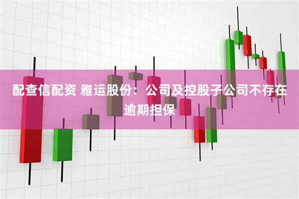 配查信配资 雅运股份：公司及控股子公司不存在逾期担保