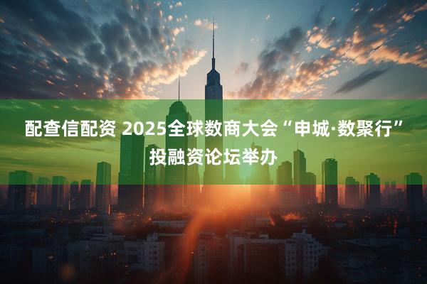 配查信配资 2025全球数商大会“申城·数聚行”投融资论坛举办