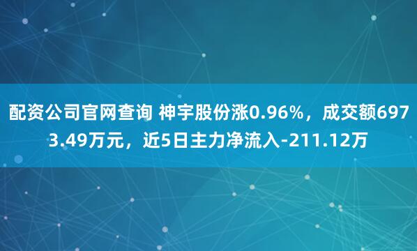 配资公司官网查询 神宇股份涨0.96%，成交额6973.49万元，近5日主力净流入-211.12万